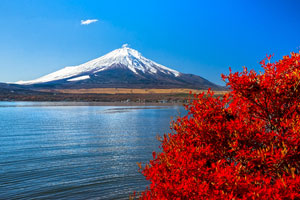 mount fuji japan